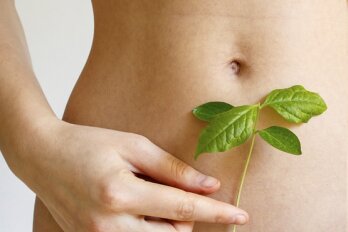 Mieux digérer avec les plantes